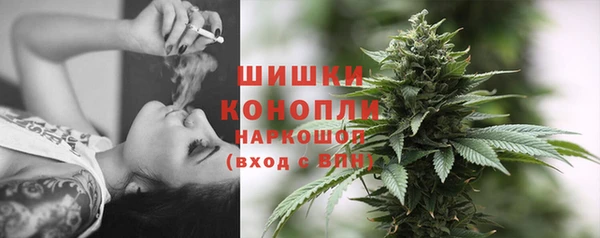 стафф Володарск