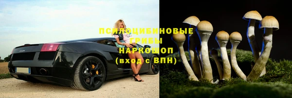 бошки Саяногорск